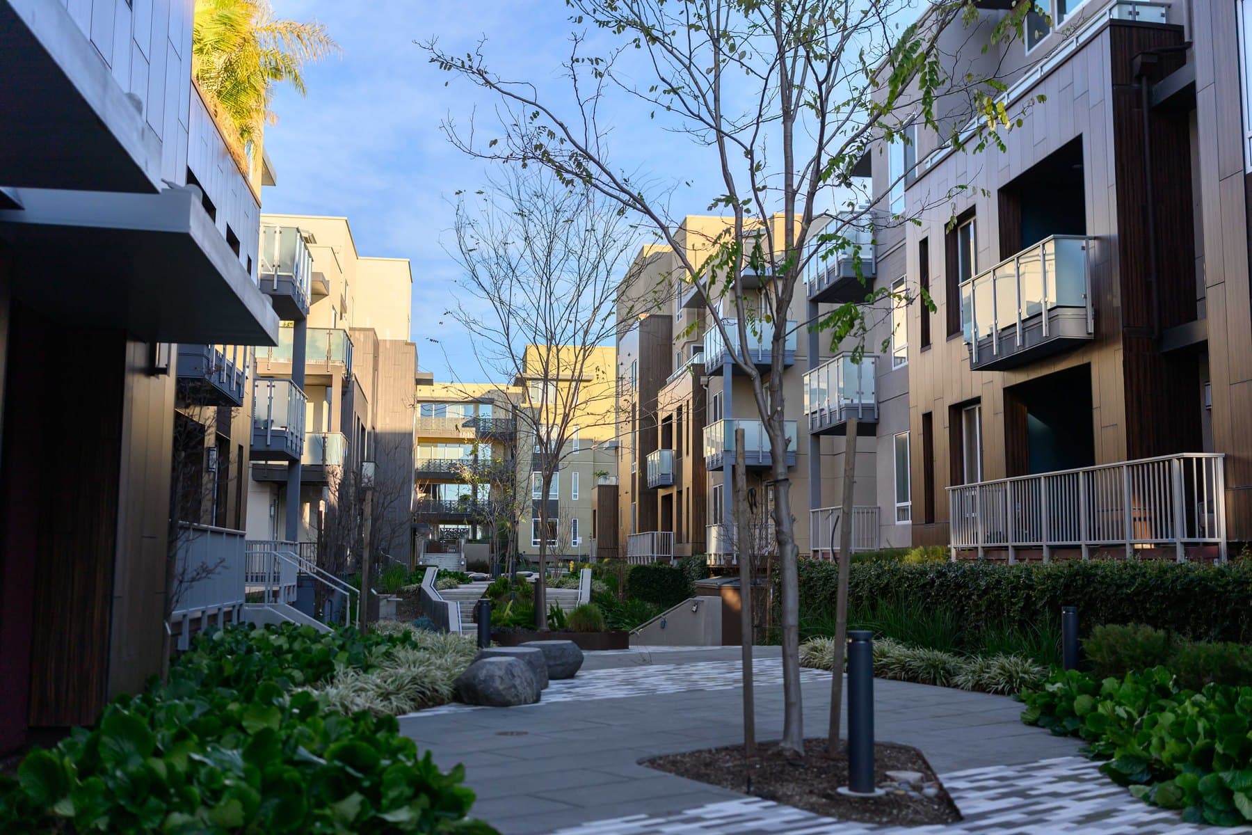 Courtyard entry doors at a Bay Area commercial property.