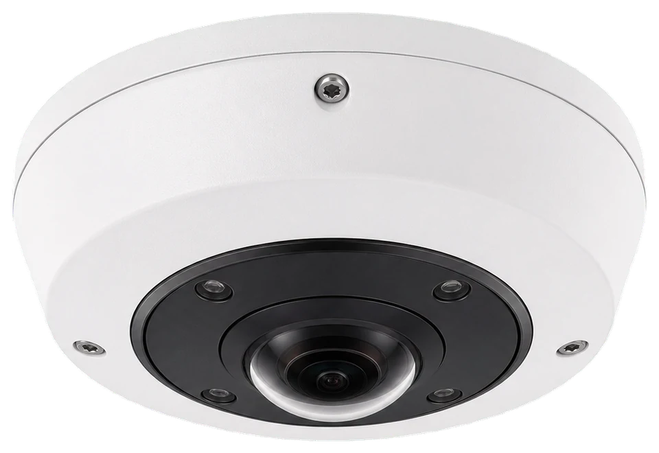 Representative commercial fisheye security camera.